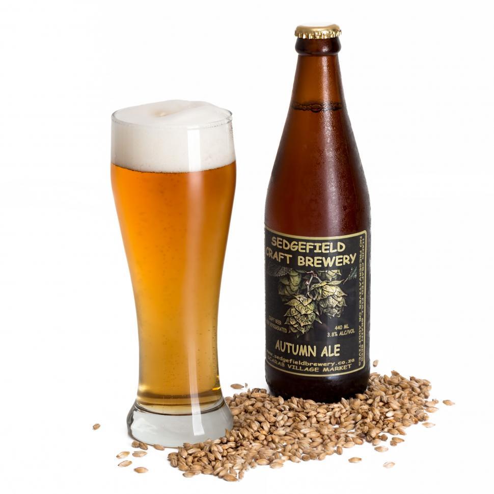 Free Image of Glass of Beer Next to Bottle of Beer 