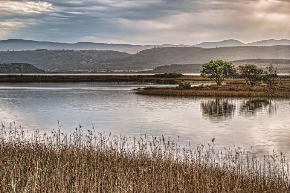 Free Image of Large Body of Water Surrounded by Tall Grass 