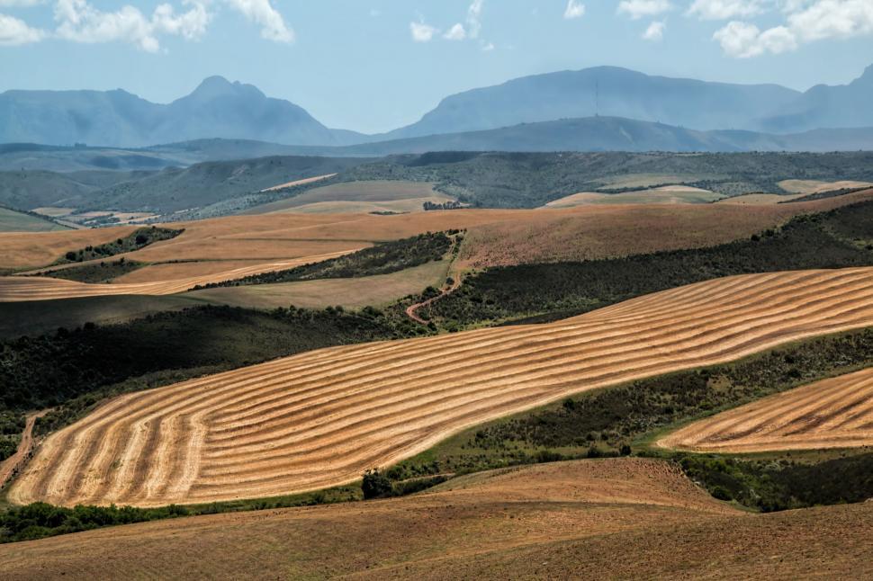 Free Image of Field With Mountains in the Background 