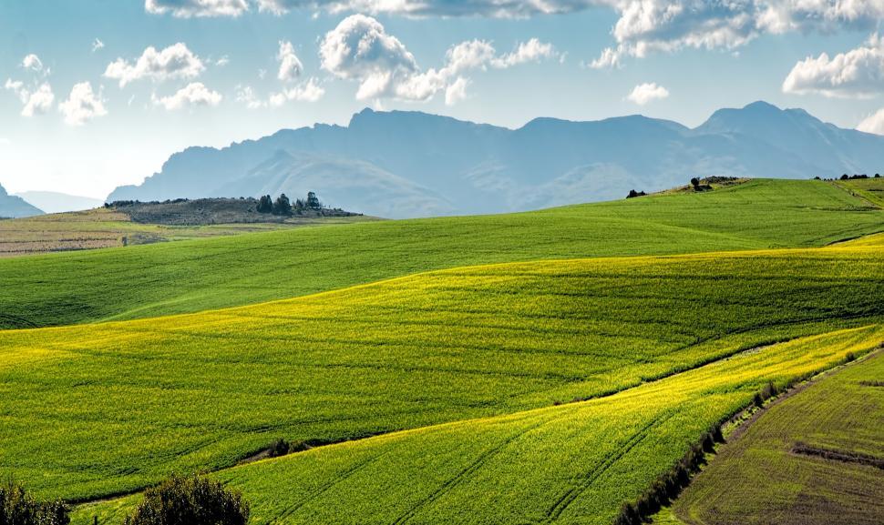 Free Image of Green Field With Mountains Background 