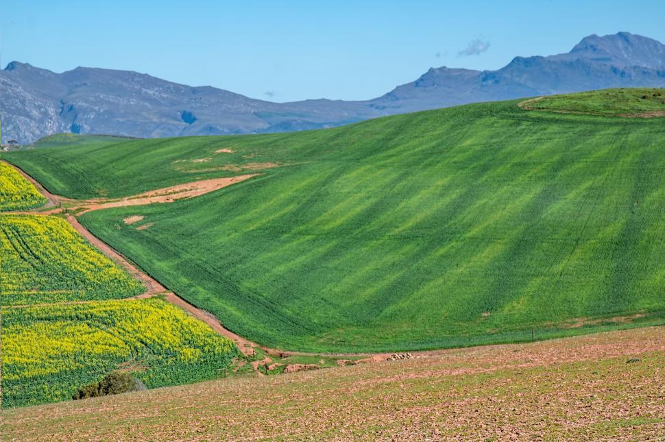 Free Image of Green Field With Mountains in Background 