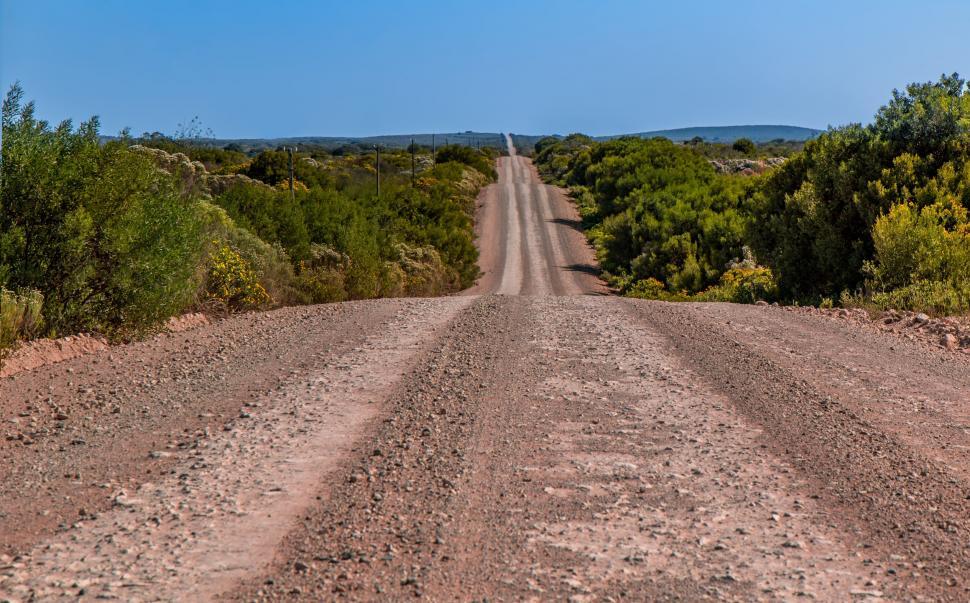 Free Image of Dirt Road Surrounded by Trees and Bushes 