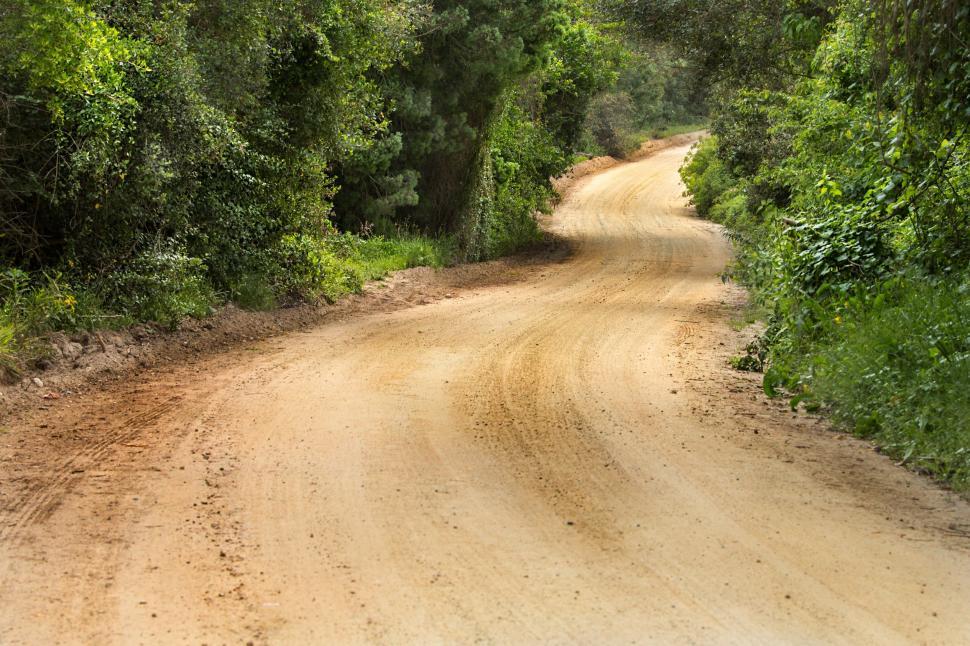Free Image of Dirt Road Cutting Through Forest 
