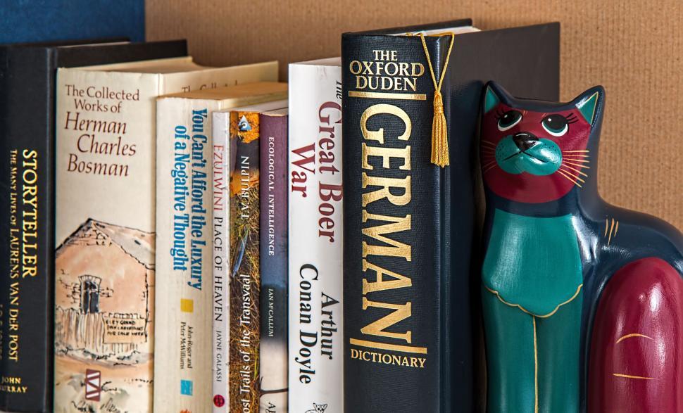Free Image of Cat Figurine Resting on Bookshelf 
