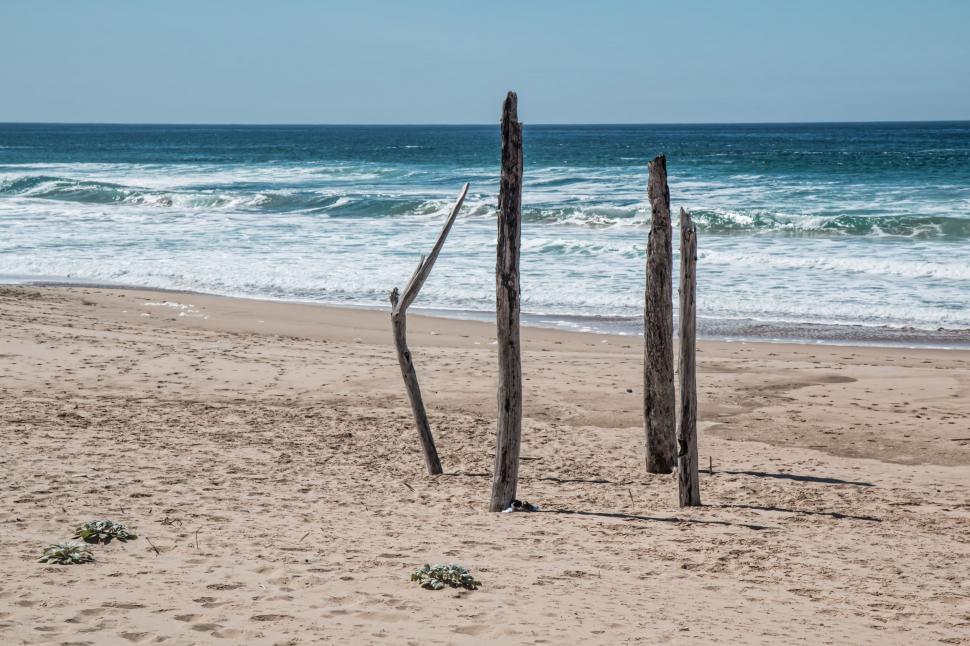 Free Image of Driftwood on Sand 