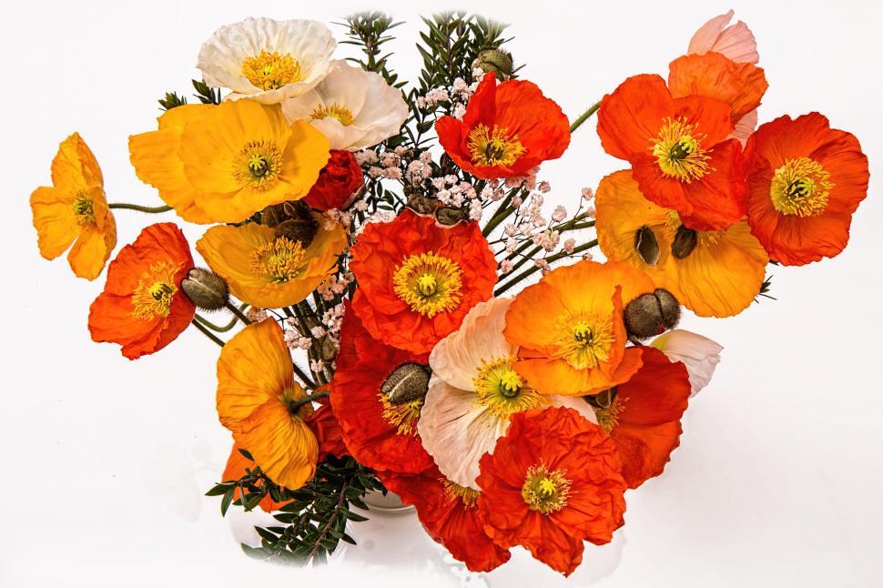 Free Image of Vase Filled With Various Colored Flowers 