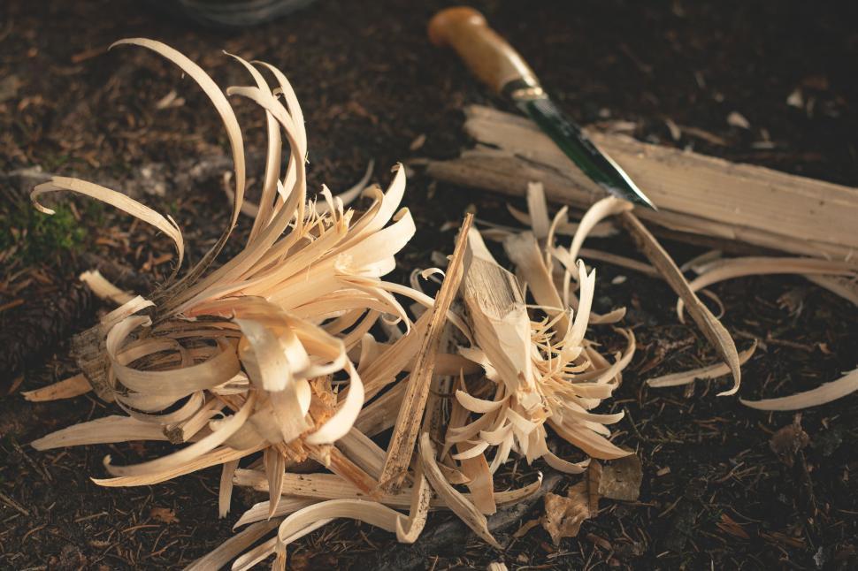 Free Image of Firewood for camp fire  