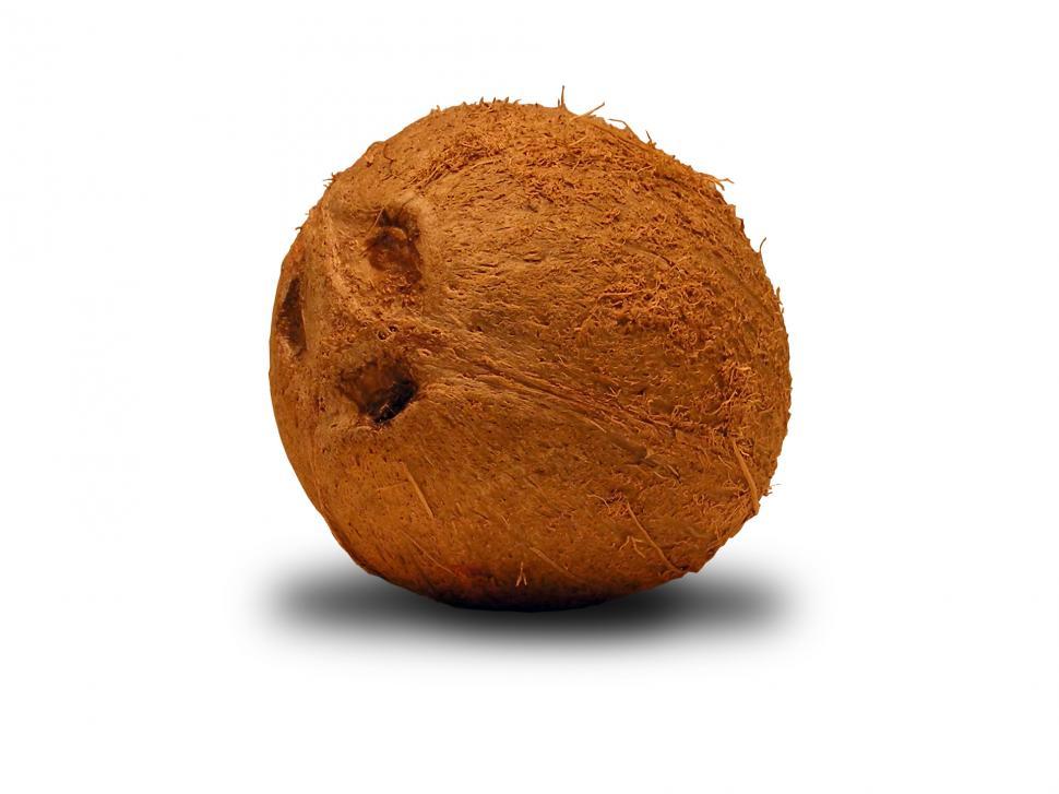 Free Image of Coconut 