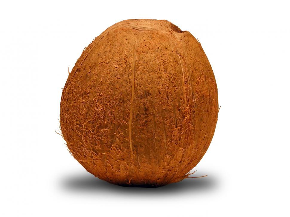Free Image of Coconut 