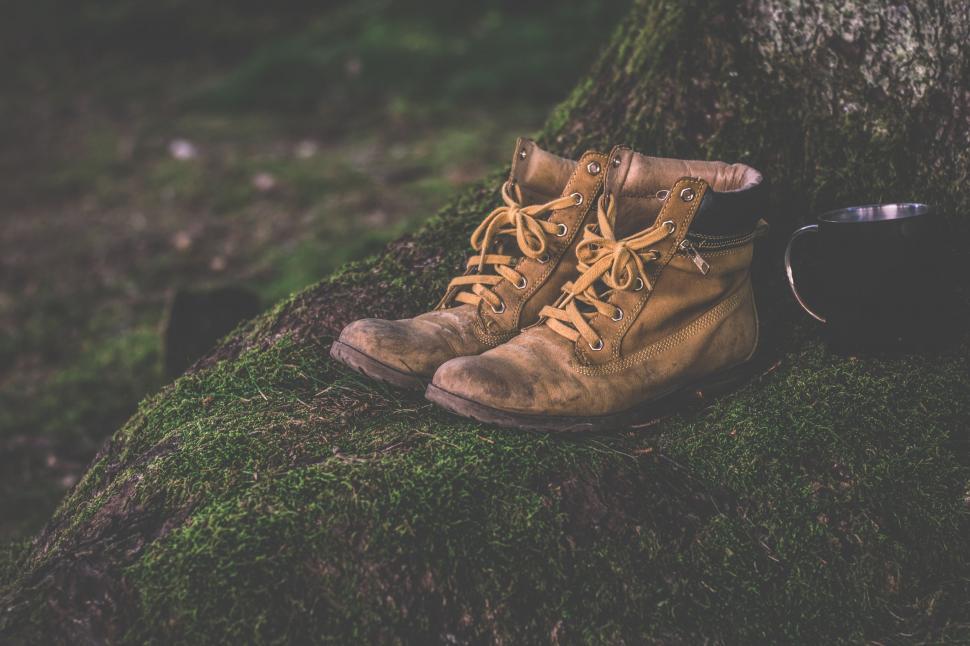 Free Image of Pair of Shoes on Moss Covered Ground 