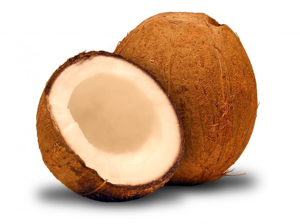 Free Image of Coconut 