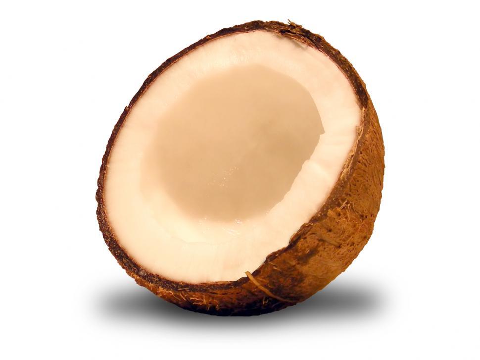 Free Image of Coconut 