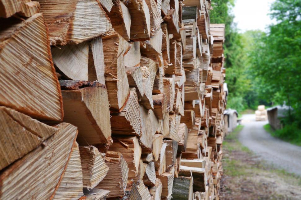 Free Image of Cut logs  