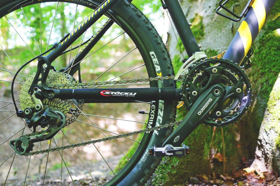 Free Image of Bicycle wheel with tree trunk in the forest  
