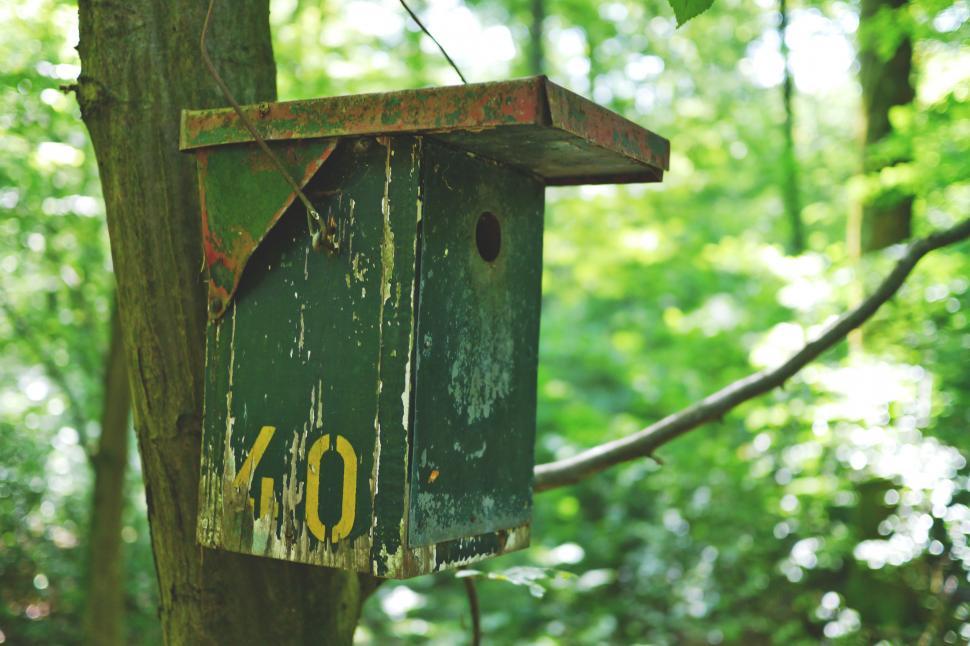 Free Image of Close up of Nesting Box   