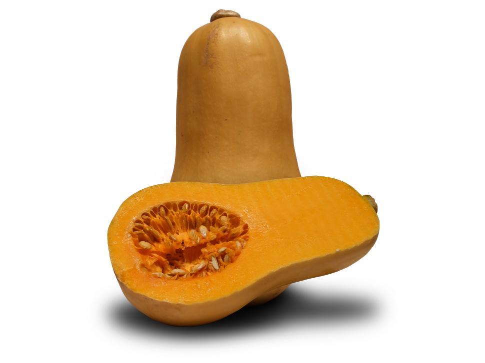 Free Image of Butternut Squash 