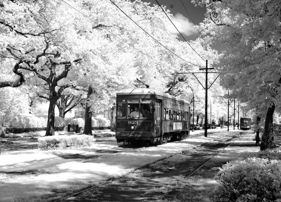 Free Image of Tram/Streetcar in downtown New Orleans - B&W 