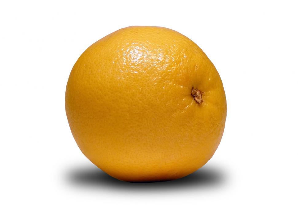 Free Image of Grapefruit 