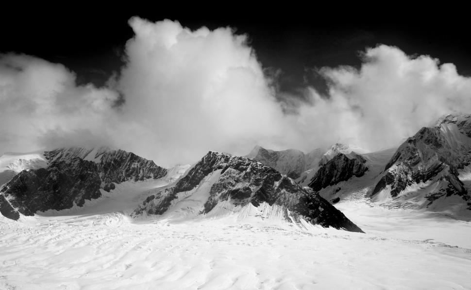 Free Image of Denali National Park - B&W 