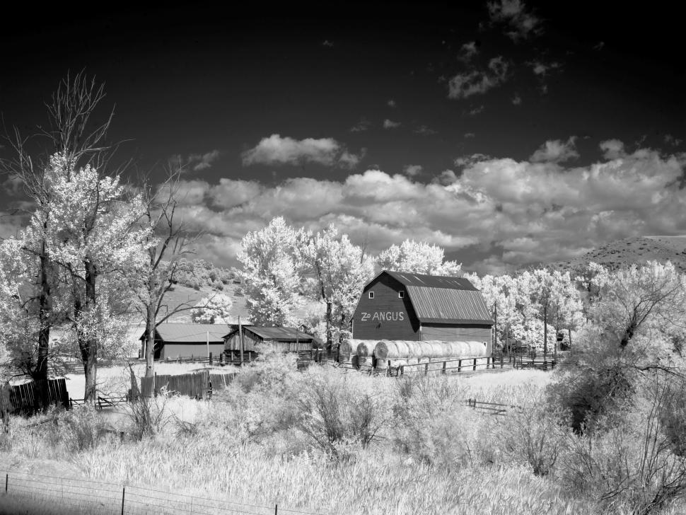 Free Image of Barn - B&W 