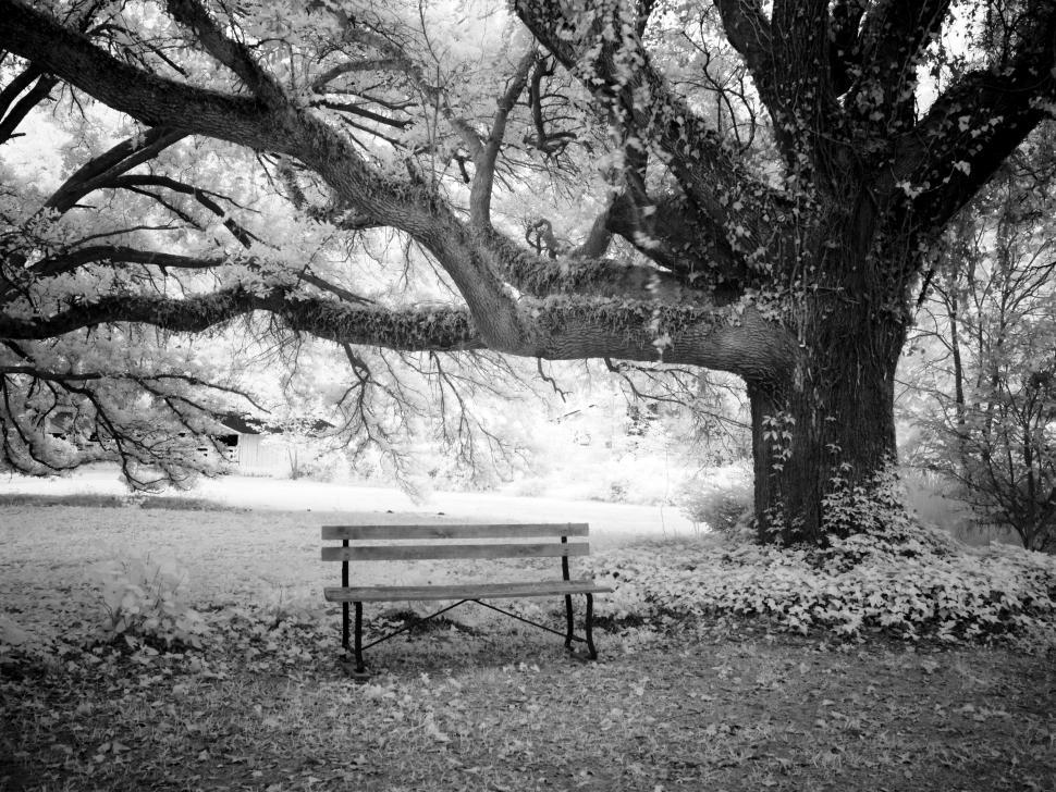 Free Image of Empty Park Bench  