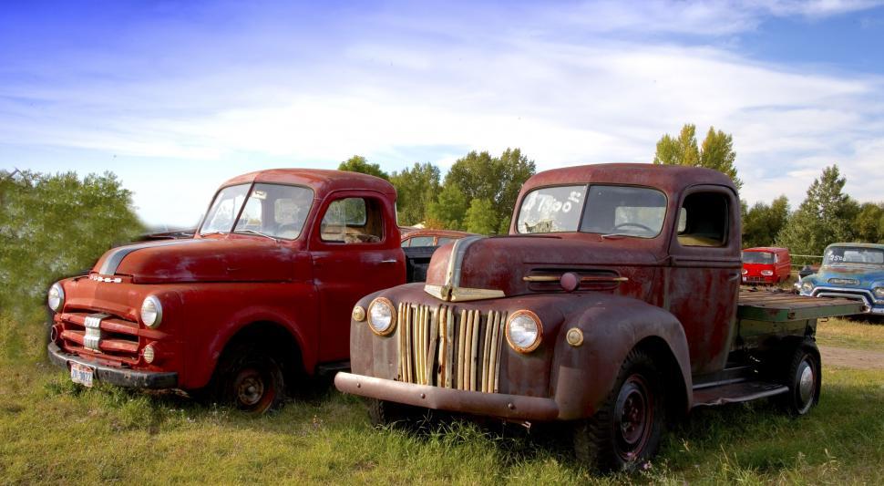 Free Image of Vintage Pick Up Trucks  