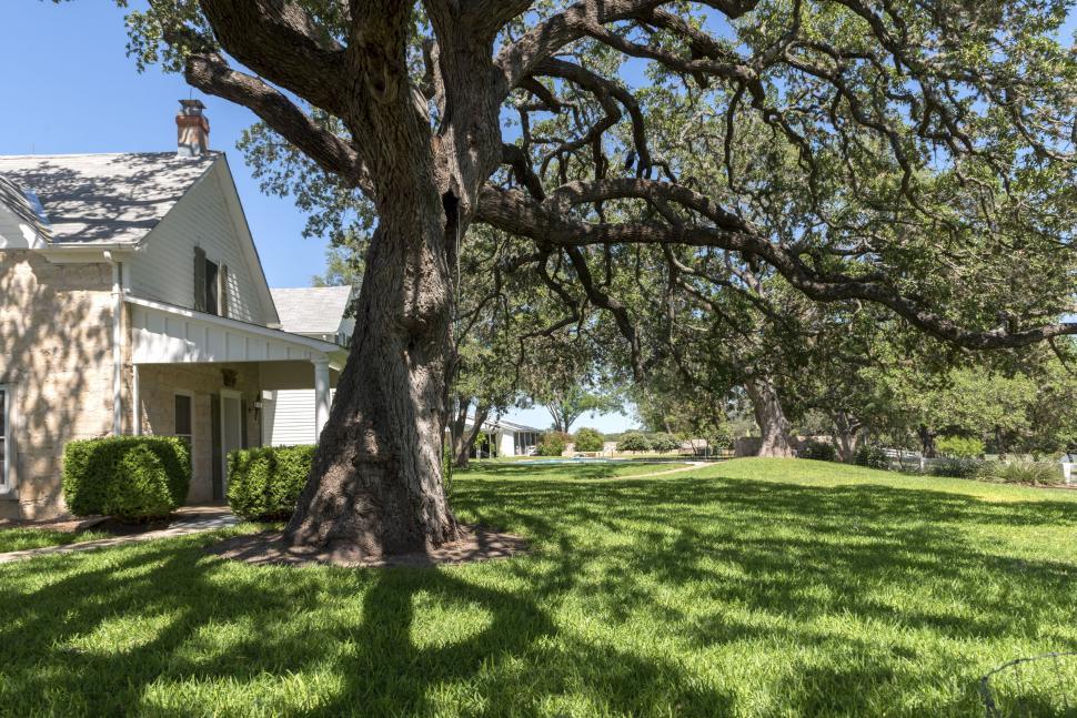Free Image of American House with trees  