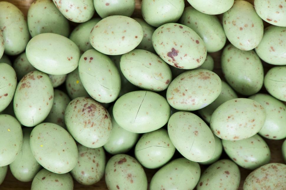 Free Image of Flat lay of colored candy eggs 