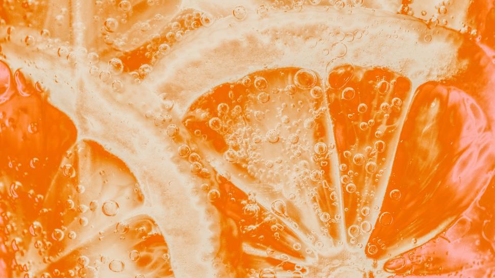Free Image of Lemon slices in a chilled beverage 