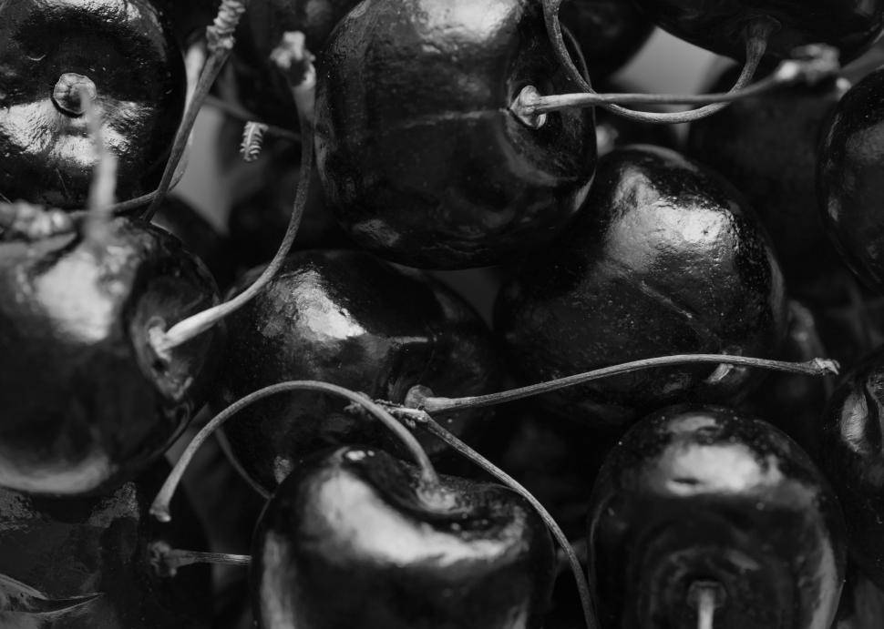Free Image of Black and white - dark cherries with stalks 