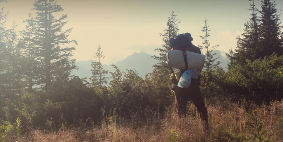 Free Image of Young Hiker in the meadow  