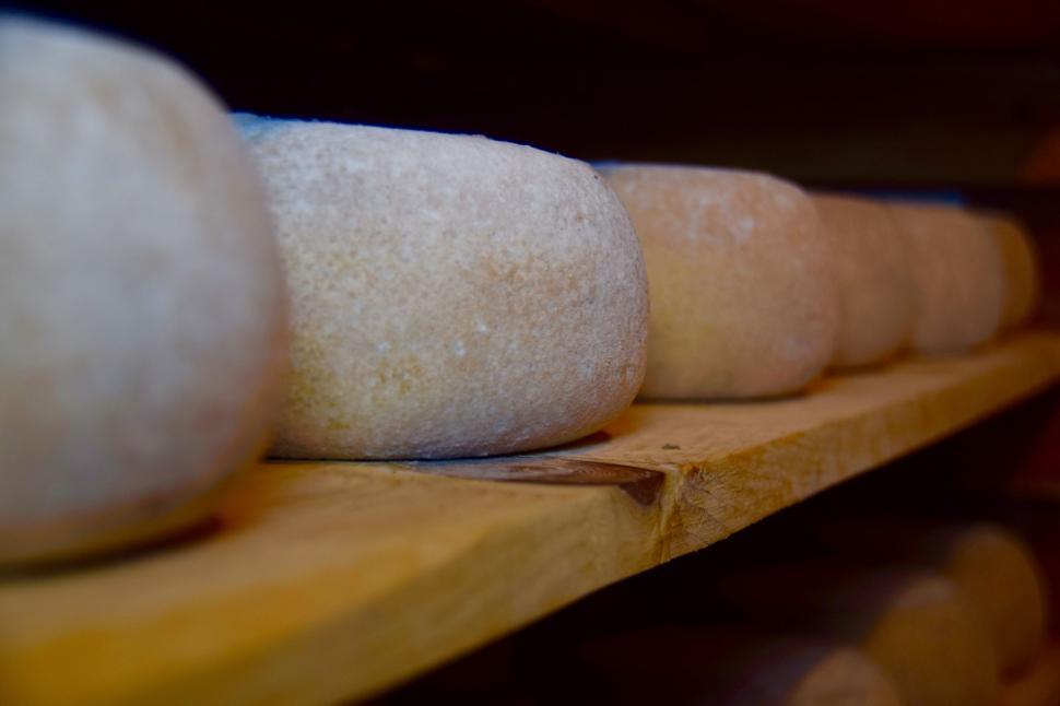 Free Image of Sheep Cheese  