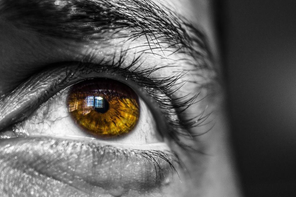 Free Image of Human Eye  