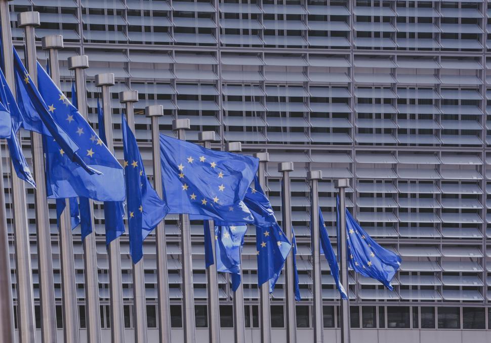 Free Image of European flags in a row 