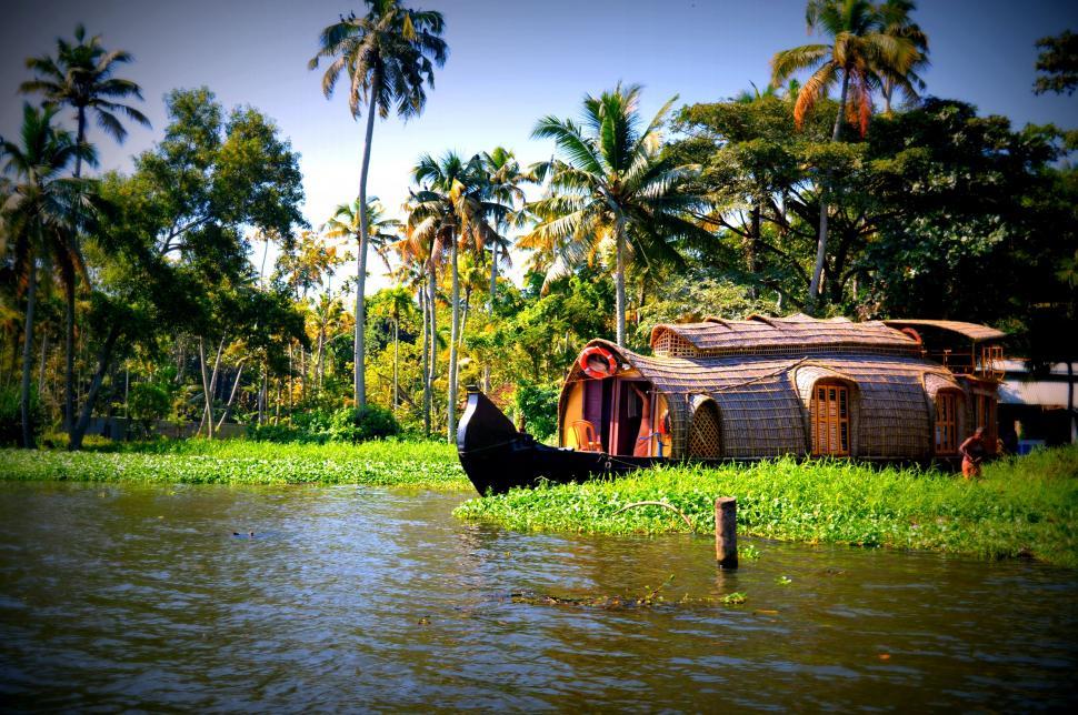 Free Image of Houseboat and Coconut trees 