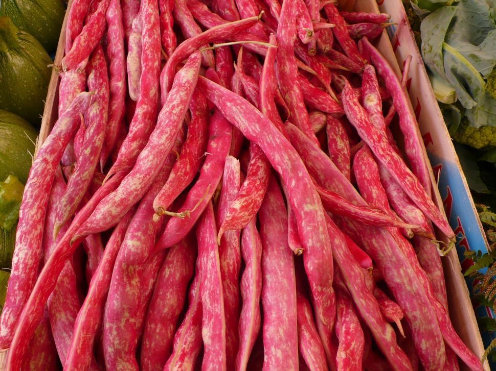 Free Image of Red Beans (kidney bean)  