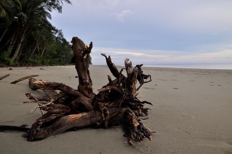 Free Image of Natures Art 