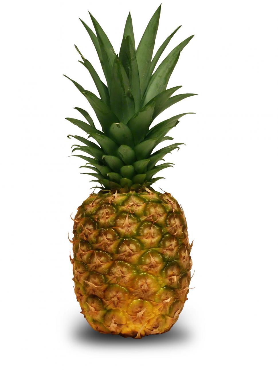 Free Image of Pine Apple 