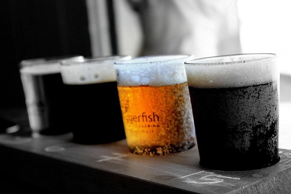 Free Image of Glasses of Beer  