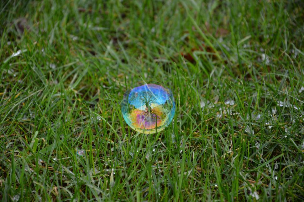 Free Image of Soap Bubble 