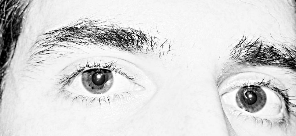 Free Image of Staring Eyes  