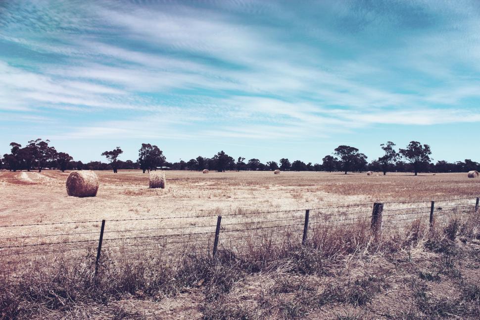 Free Image of Landscape view of Dry Grass with blue sky  