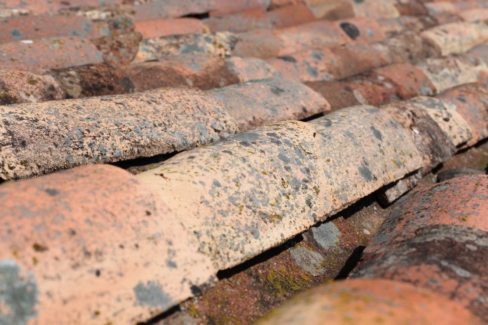 Free Image of Shingles Roof  
