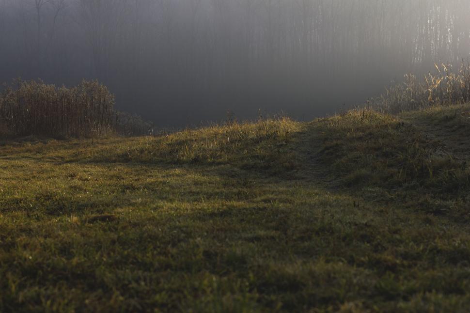 Free Image of Foggy Winter Morning  