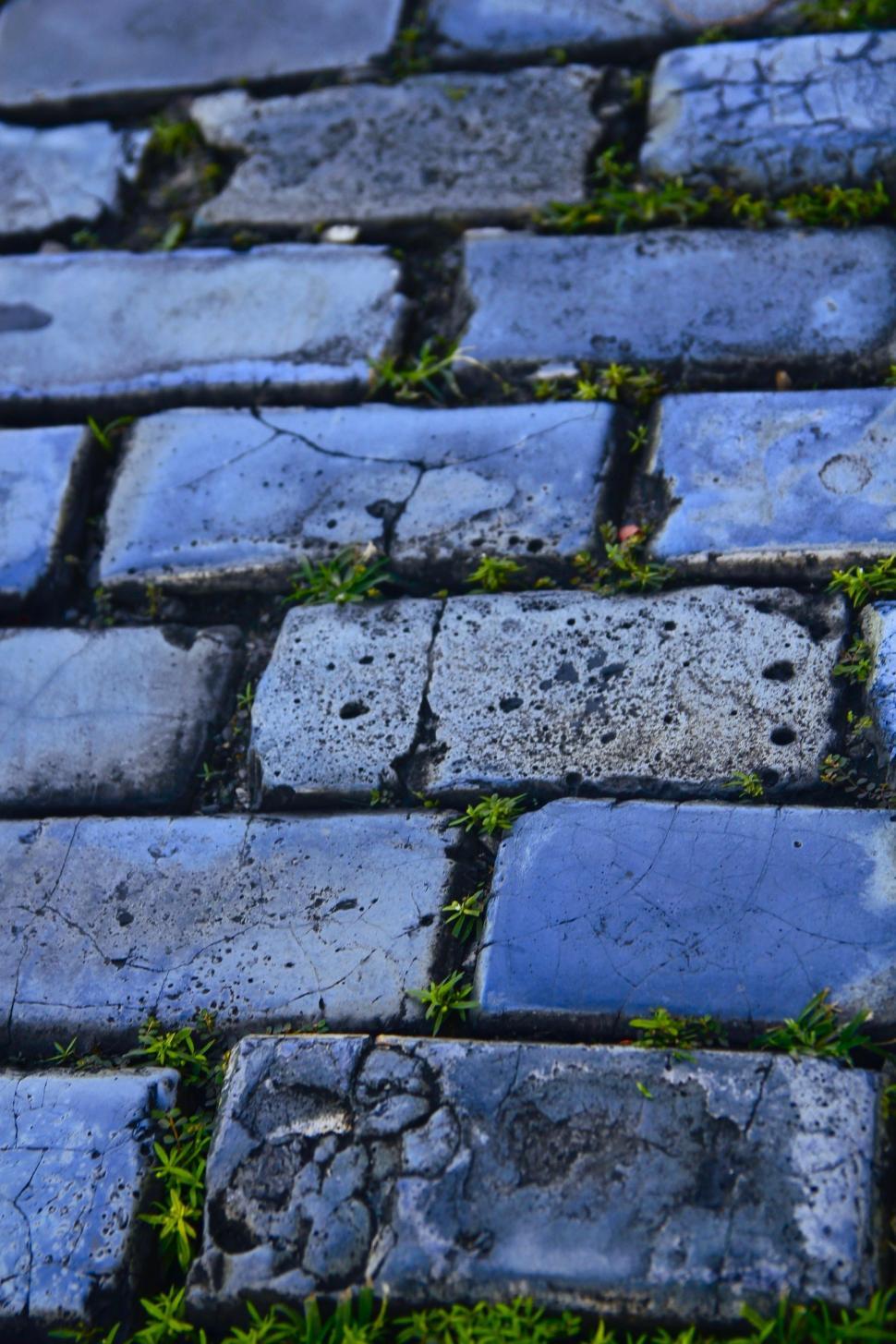 Free Image of Paving slabs 