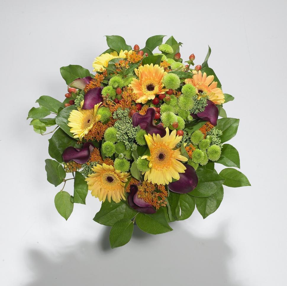 Free Image of Flowers Bouquet 