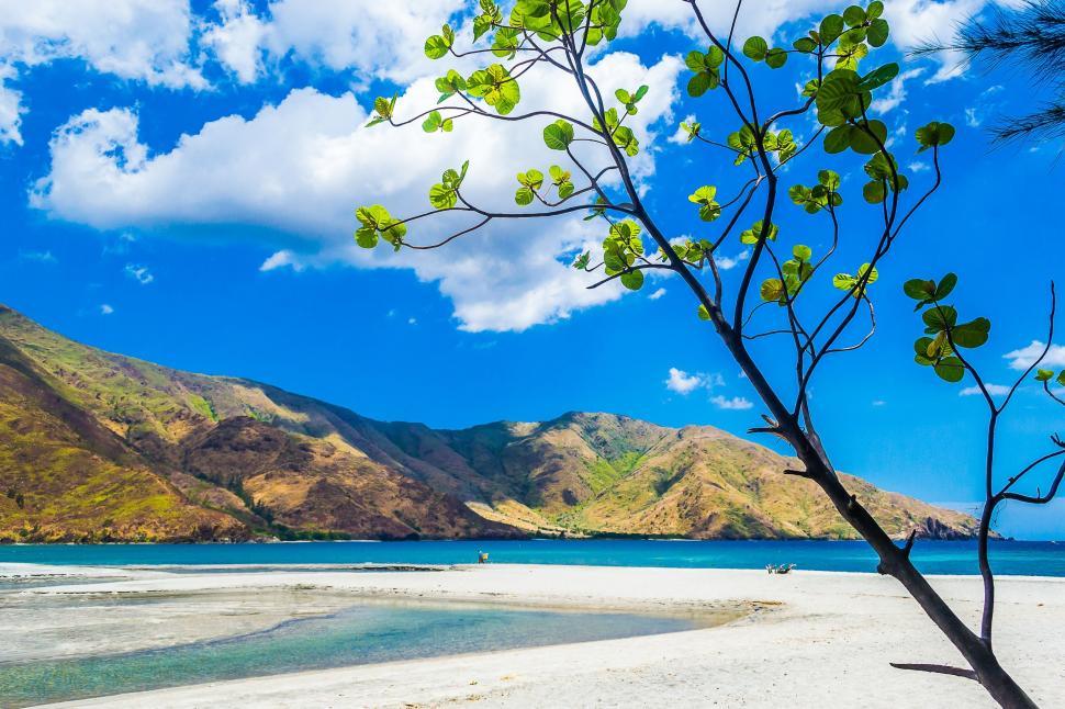 Free Image of Tropical beach scenery 