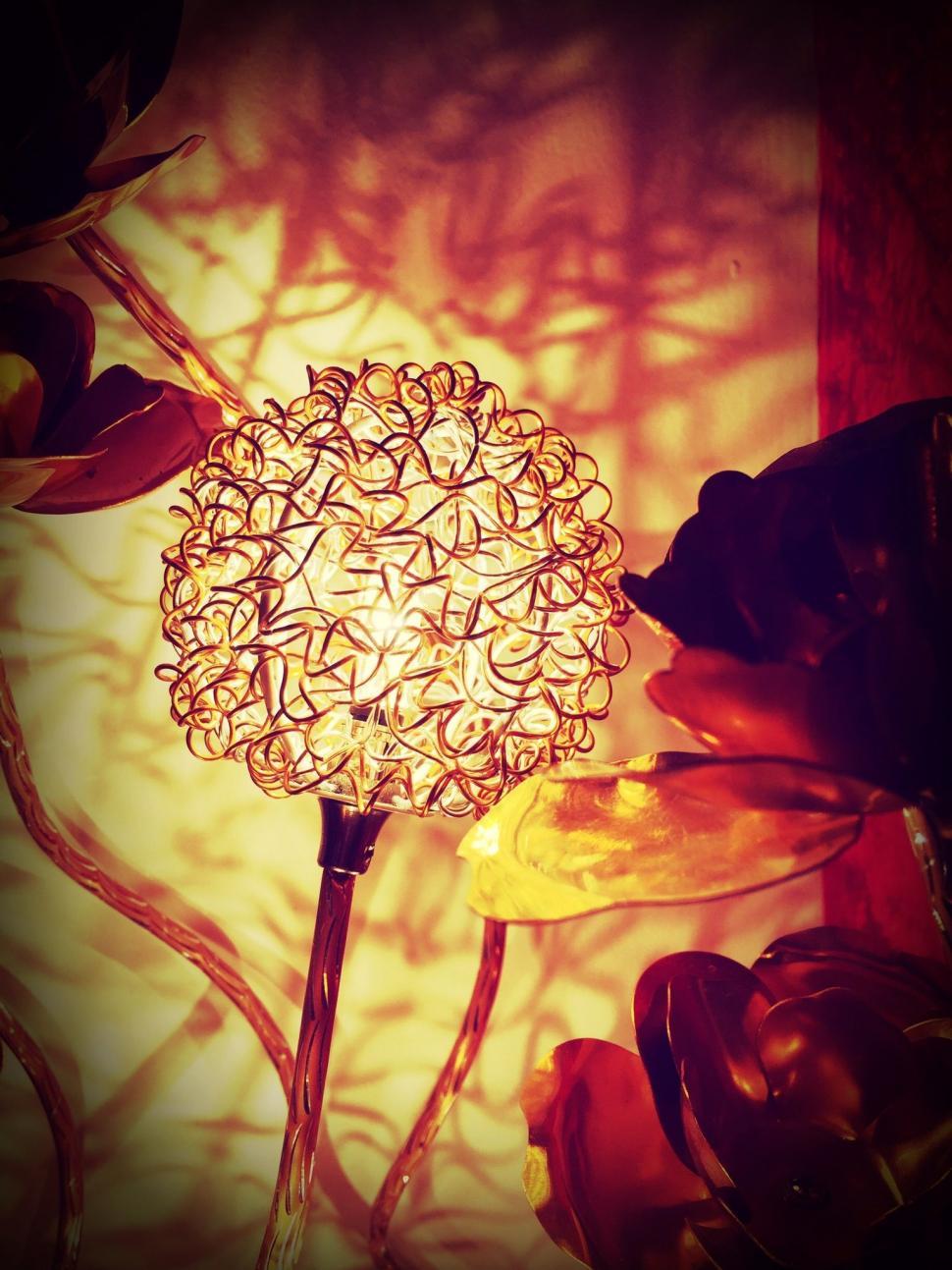 Free Image of Dandelion light  