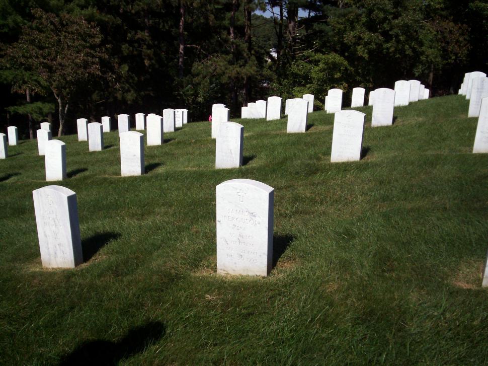 Free Image of At rest 2 