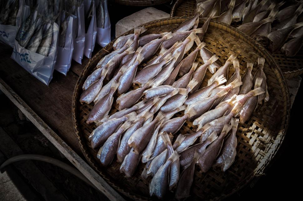 Free Image of Fish on Sale  